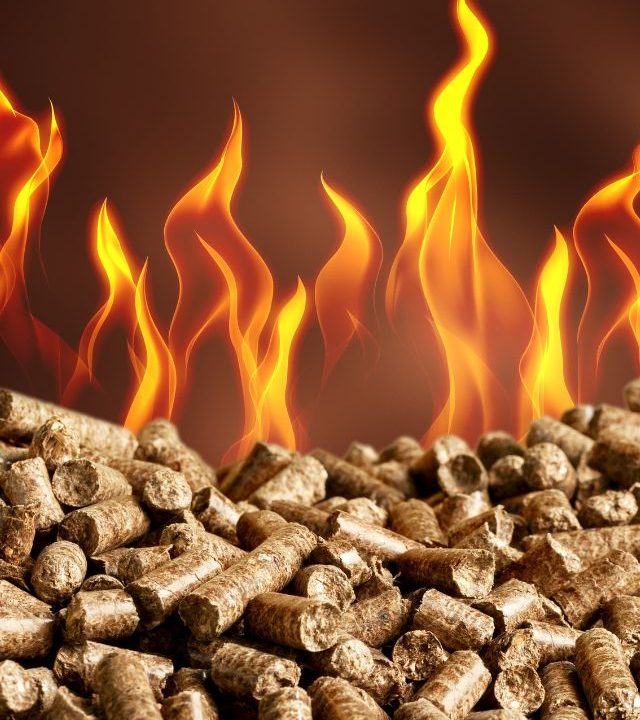 Biomass Briquette Manufacturers​