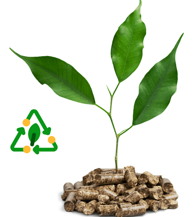 why biomass briquettes